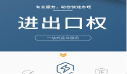 進(jìn)出口權(quán)申請辦理流程：簡單易懂的指南